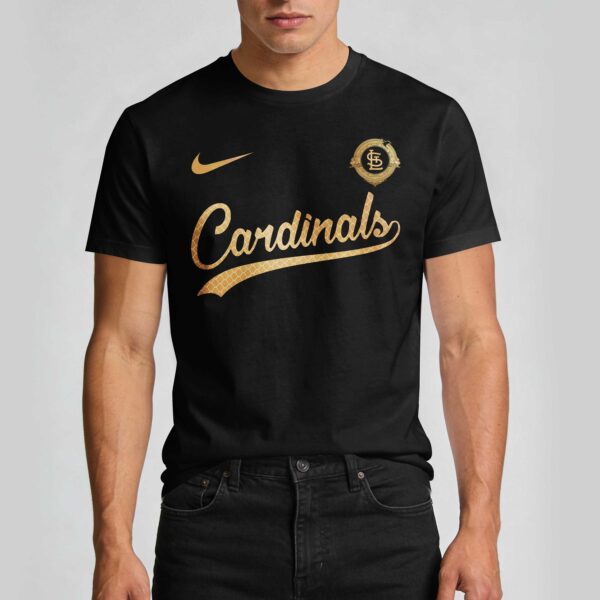 Alternative view of St Louis Cardinals x Fourth Wing Premium T-Shirt 008